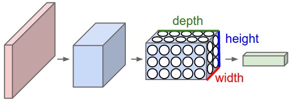 CNN Width Reduction <>